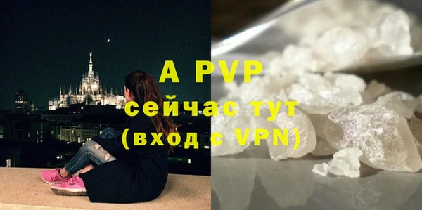 тгк Новозыбков