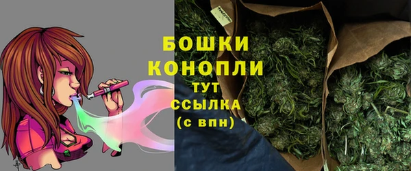 тгк Новозыбков