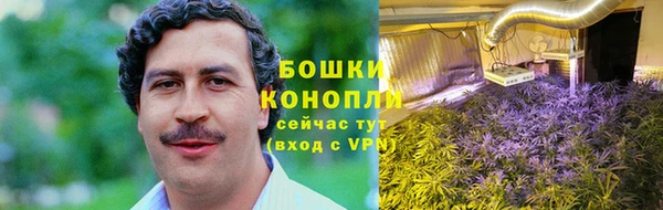 первитин Алексин