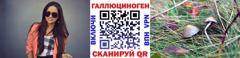 Псилоцибиновые грибы прущие грибы купить наркотики цена Серафимович