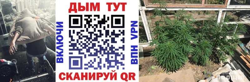 Конопля THC 21% Серафимович